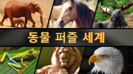 동물 퍼즐 세계 (Animal Puzzle World)